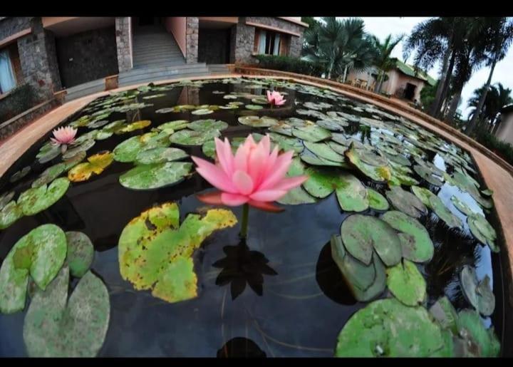 Krishna Heritage Resort Бадами Екстериор снимка